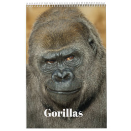 2026 Gorilla Kalender