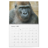 2026 Gorilla Kalender (Jan 2027)