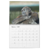 2026 Gorilla Kalender (Feb 2027)