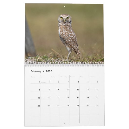 2026 Gravende Uil Kalender (Feb 2026)