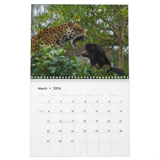 2026 grote katten en meer kalender (Mar 2026)