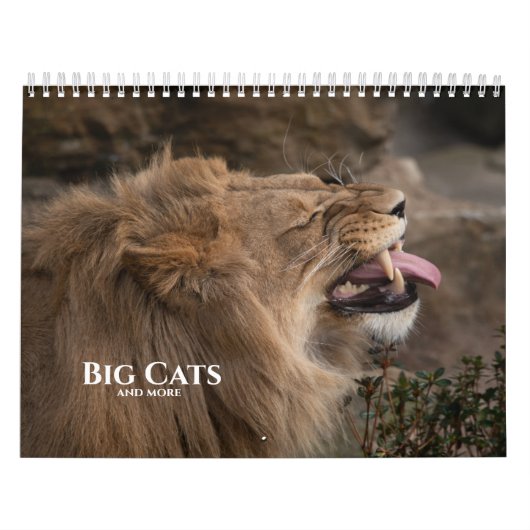 2026 grote katten en meer kalender (Hoes)