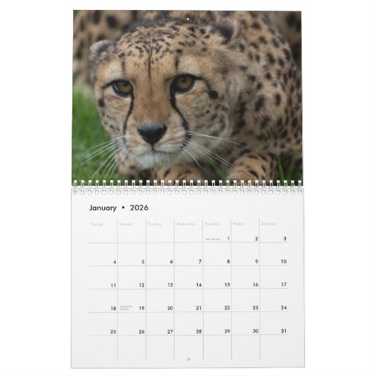 2026 grote katten en meer kalender (Jan 2026)