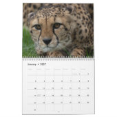 2026 grote katten en meer kalender (Jan 2027)