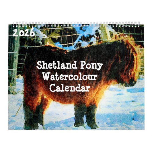 2026 Hardy Shetland Ponies Watercolor Painting Art Kalender (Hoes)