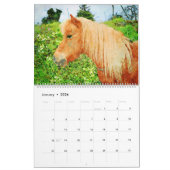 2026 Hardy Shetland Ponies Watercolor Painting Art Kalender (Jan 2026)
