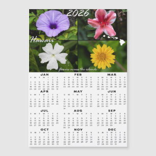 2026 Hawaiian Flower Calendar (Magnetisch x4)