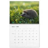 2026 Hedgehog Wall Calendar | 12 Month Kalender (Mar 2026)