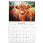 2026 Highland Cow Cattle Cute Watercolor Paintings Kalender (Jan 2026)