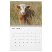 2026 Highland Koeien Kalender (Mar 2026)