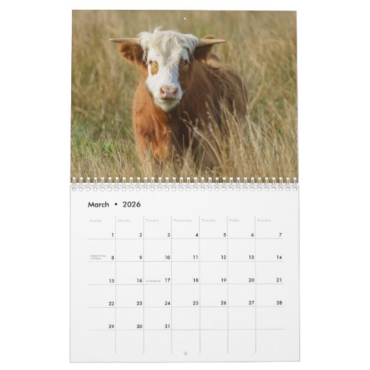 2026 Highland Koeien Kalender (Mar 2026)