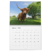 2026 Highland Koeien Kalender (Feb 2026)