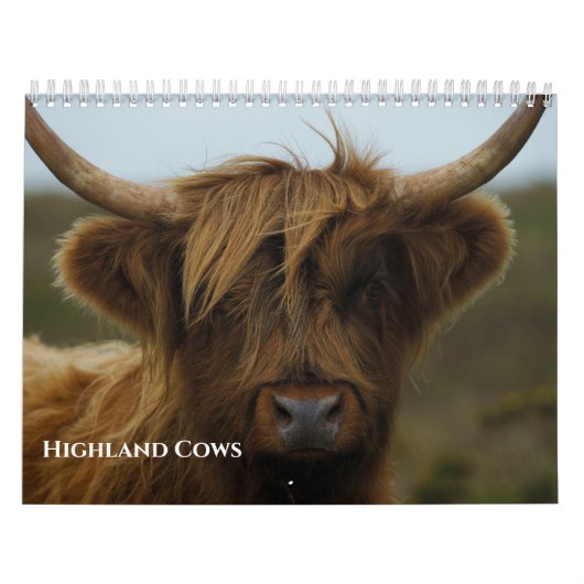 2026 Highland Koeien Kalender (Hoes)