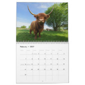 2026 Highland Koeien Kalender (Feb 2027)