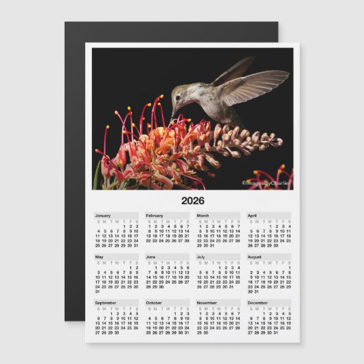 2026 Hummingbird 5x7" Magnetic Mini Calendar (Voorkant / Achterkant)