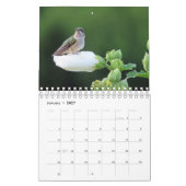 2026 Hummingbird Calendar Kalender (Jan 2027)