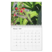 2026 Hummingbird Calendar Kalender (Feb 2027)