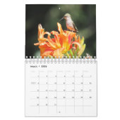 2026 Hummingbird Calendar Kalender (Mar 2026)