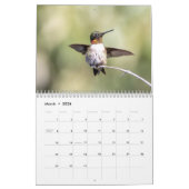 2026 Hummingbird Photography: A Year of Wings Kalender (Mar 2026)