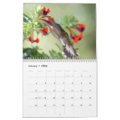 2026 Hummingbird Photography: A Year of Wings Kalender (Jan 2026)