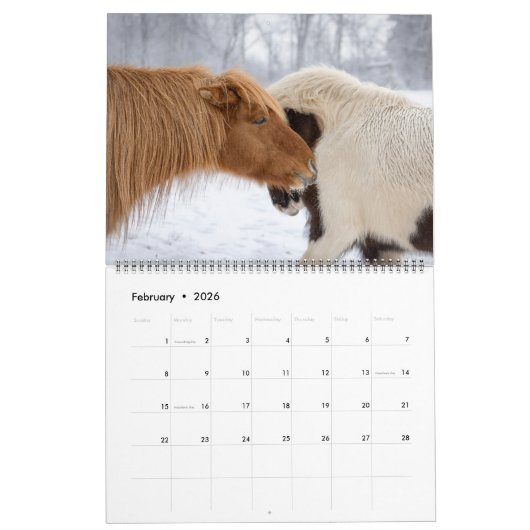2026 Icelandic Horse Calendar Kalender (Feb 2026)