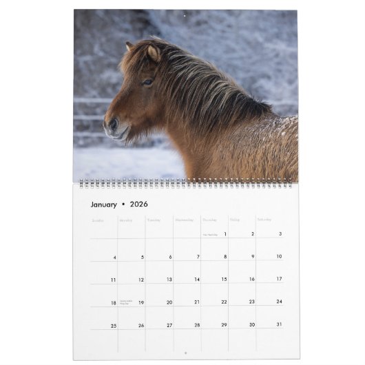 2026 Icelandic Horse Calendar Kalender (Jan 2026)