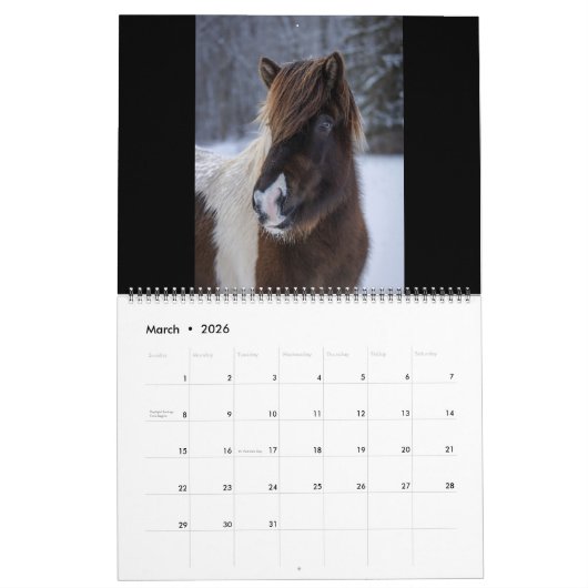 2026 Icelandic Horse Calendar Kalender (Mar 2026)