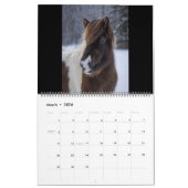 2026 Icelandic Horse Calendar Kalender (Mar 2026)