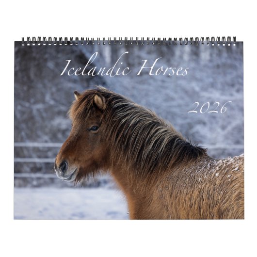 2026 Icelandic Horse Calendar Kalender (Hoes)
