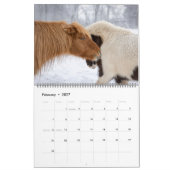 2026 IJslandse Paard Kalender (Feb 2027)