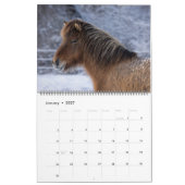2026 IJslandse Paard Kalender (Jan 2027)