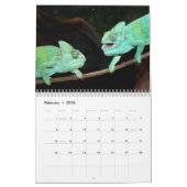 2026 Insecten & Reptielen Kalender (Feb 2026)