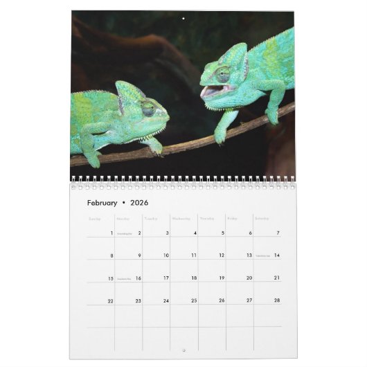2026 Insecten & Reptielen Kalender (Feb 2026)