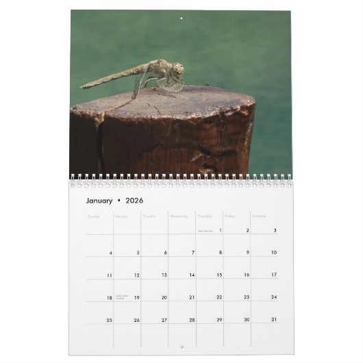 2026 Insecten & Reptielen Kalender (Jan 2026)