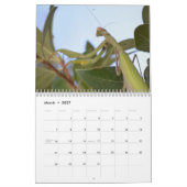 2026 Insecten & Reptielen Kalender (Mar 2027)