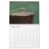 2026 Insecten & Reptielen Kalender (Jan 2027)
