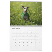 2026 Italiaanse Windhond Muurkalender Kalender (Mar 2027)