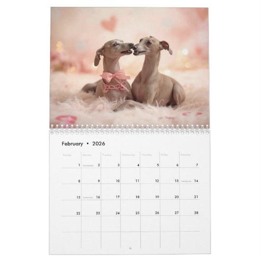 2026 Italian Greyhound Wall Calendar  Kalender (Feb 2026)