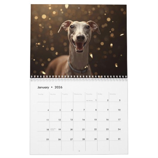 2026 Italian Greyhound Wall Calendar  Kalender (Jan 2026)