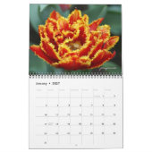2026 jaar van de tulp kalender (Jan 2027)