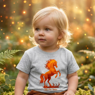 2026 Jaar van het Vuurpaard Chinese Zodiak
