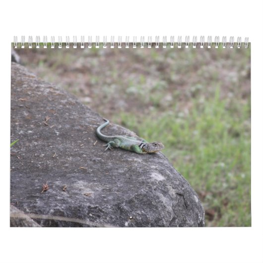 2026 KALENDER (Hoes)