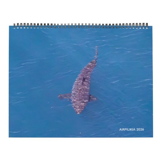 2026 Kalender Airpilikia (Hoes)