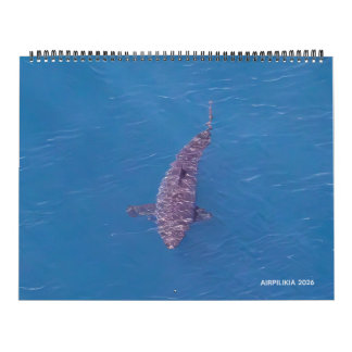 2026 Kalender Airpilikia