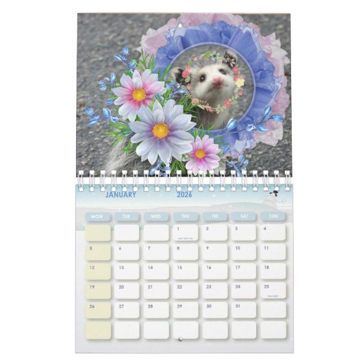 2026 Kalender Kleurrijke Strepen Opossum Bloemen