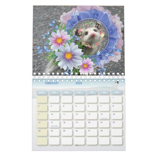 2026 Kalender Kleurrijke Strepen Opossum Bloemen (Feb 2026)