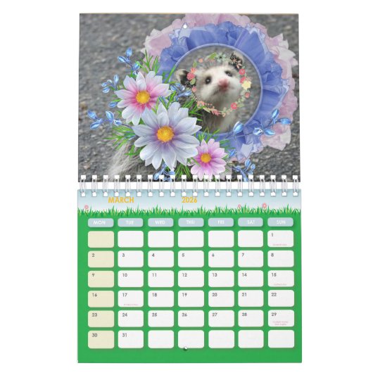 2026 Kalender Kleurrijke Strepen Opossum Bloemen (Mar 2026)