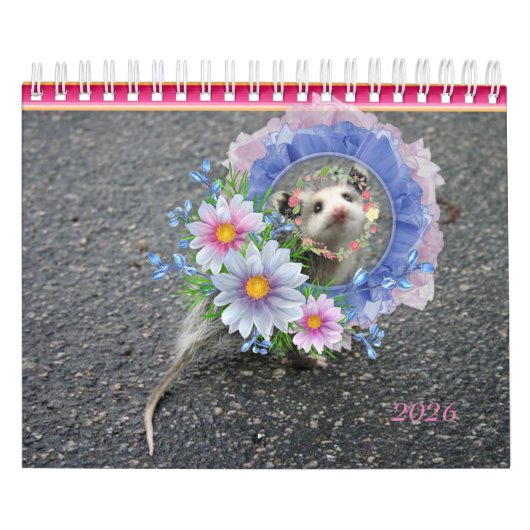 2026 Kalender Kleurrijke Strepen Opossum Bloemen (Hoes)