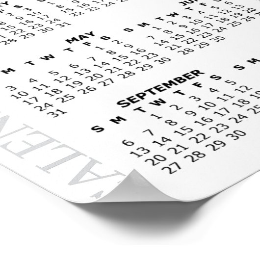 2026 Kalender, Meerval, Ijsvissen / Vis Poster (Hoek)