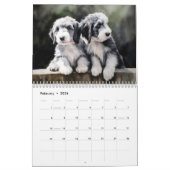 2026 Kalender met Baardcollies (Feb 2026)
